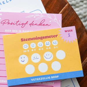 Stemmingsmeter notitieblok - PURE Slow Down